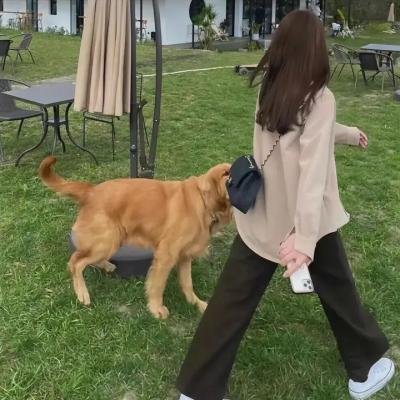 黑超特警组:反转世界