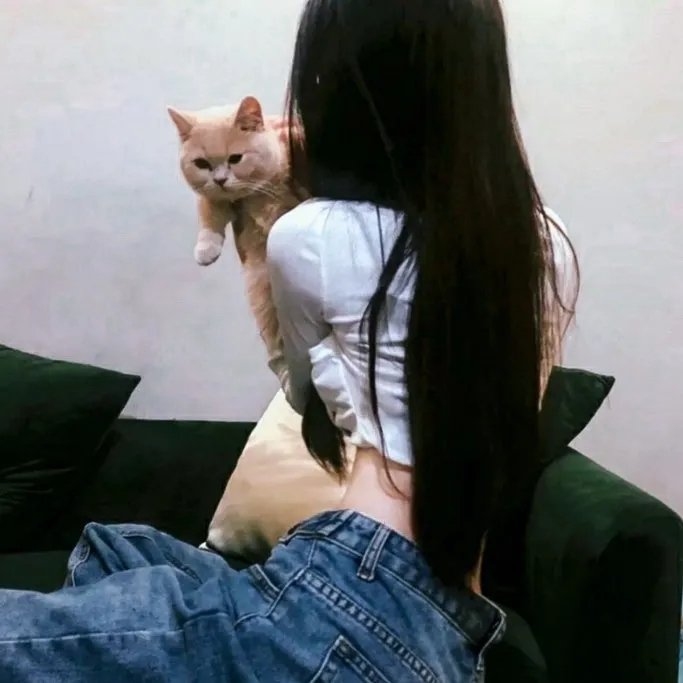 足球教练第一季